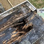 damaged flat roof